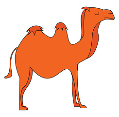 Image showing Vector illustration of an orange camel on white background.