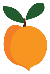 Image showing A yellow mango vector or color illustration