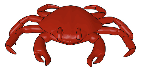 Image showing A red crab type of shellfish and seafood vector or color illustr