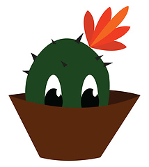 Image showing Cactus plant on a brown pot vector or color illustration