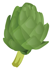 Image showing Green artichoke vector illustration of vegetables on white backg