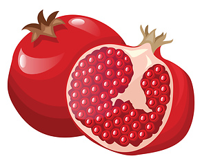 Image showing Vector illustration of a bright red pomegranate fruit half a pom