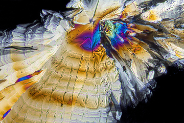 Image showing Trisodium citrate microcrystals