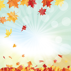 Image showing Autumn  Frame