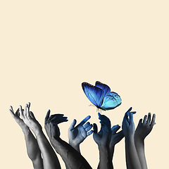 Image showing Contemporary art collage, modern design. Retro style. Human hands catching beautiful blue butterfly on pastel yellow background