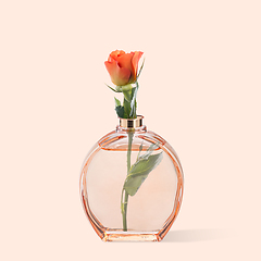 Image showing Contemporary art collage, modern design. Retro style. Parfume bottle with tender blooming rose in it on pastel background