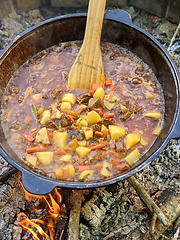 Image showing gourmet beef stew cooked in cauldron on outdoor fire pit