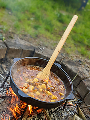 Image showing gourmet beef stew cooked in cauldron on outdoor fire pit