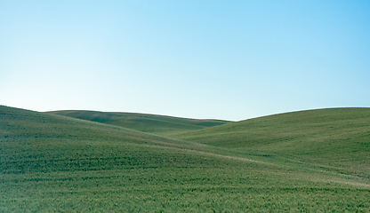 Image showing Magical wheat farm fields in palouse washington