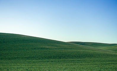 Image showing Magical wheat farm fields in palouse washington