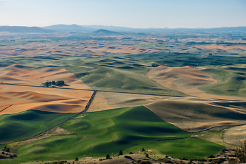 Image showing Magical wheat farm fields in palouse washington