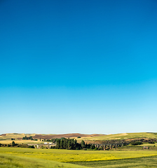 Image showing Magical wheat farm fields in palouse washington