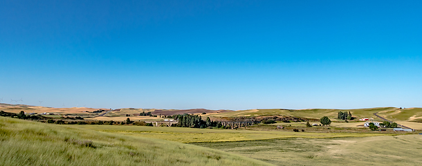 Image showing Magical wheat farm fields in palouse washington