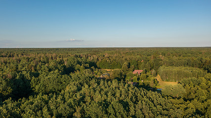 Image showing Polish part of Bialowieza Forest to east