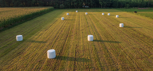 Image showing Green meadow with ballots of hay lying