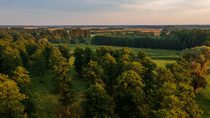 Image showing Colorful sunset over forest and fields aerial