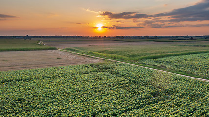 Image showing Colorful sunset over fields aerial