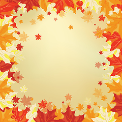 Image showing Autumn maple leaves 