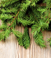 Image showing Christmas Background with Spruce Branch