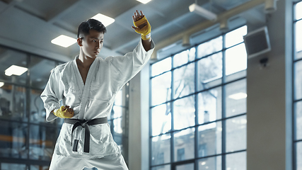 Image showing Confident korean man in kimono practicing hand-to-hand combat, martial arts