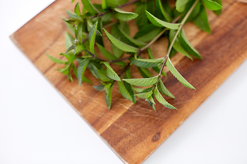 Image showing bunch of fresh peppermint on wooden cutting board