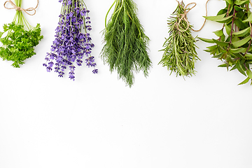 Image showing greens, spices or medicinal herbs on white