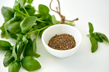 Image showing fresh basil and dry seasoning on white background