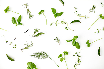 Image showing greens, spices or herbs on white background