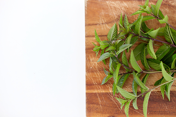 Image showing bunch of fresh peppermint on wooden cutting board