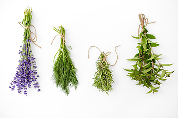 Image showing greens, spices or medicinal herbs on white