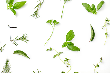 Image showing greens, spices or herbs on white background