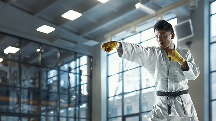 Image showing Confident korean man in kimono practicing hand-to-hand combat, martial arts