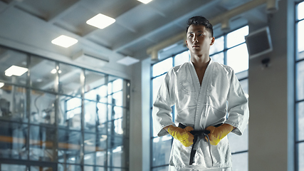 Image showing Confident korean man in kimono practicing hand-to-hand combat, martial arts