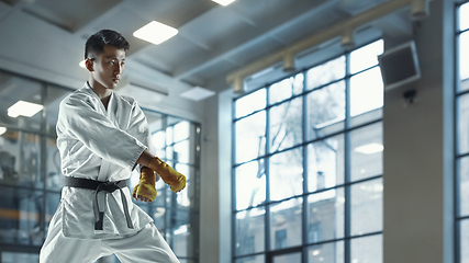 Image showing Confident korean man in kimono practicing hand-to-hand combat, martial arts