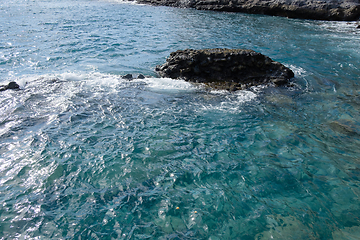 Image showing beautiful wild beach with black sand