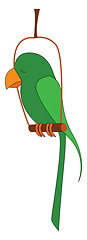 Image showing Vectro illustration of a green parrot on white backgrouond 