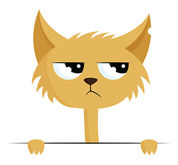 Image showing Angry cat with torn ear, vector color illustration.