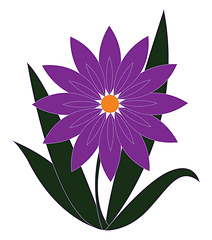 Image showing Purple flower with orange pestle and green leaves vector illustr