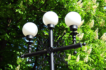 Image showing plafonds of lanterns in city park