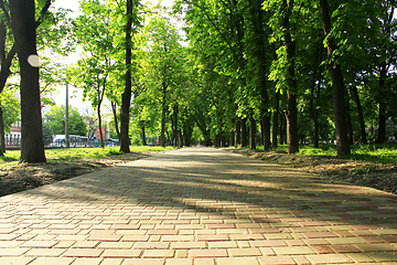 Image showing Beautiful park with many green trees