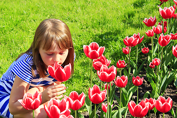 Image showing girl smells red tulips on the flower-bed