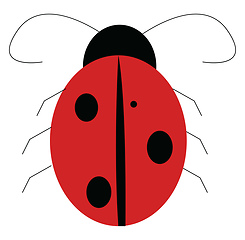Image showing A red lady bug vector or color illustration