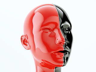 Image showing human head separated by line as symbol of balance and diversity