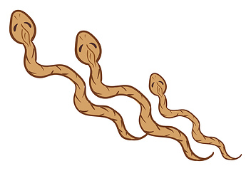 Image showing Three brown serpents crawling over white background vector or co