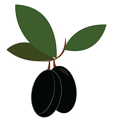 Image showing Black-colored cartoon olive vector or color illustration