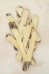 Image showing Astragalus Root Chinese Herb used in Herbal Medicine 