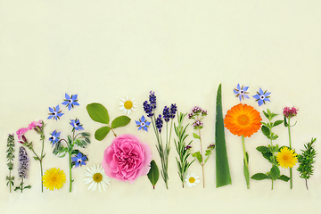 Image showing Organic Herbs and Flowers for Herbal Treatments