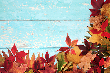Image showing Autumn Leaves on Rustic Blue Wood Background