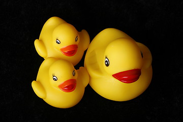 Image showing Happy duck family