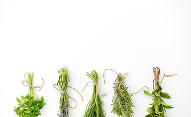 Image showing greens, spices or medicinal herbs on white